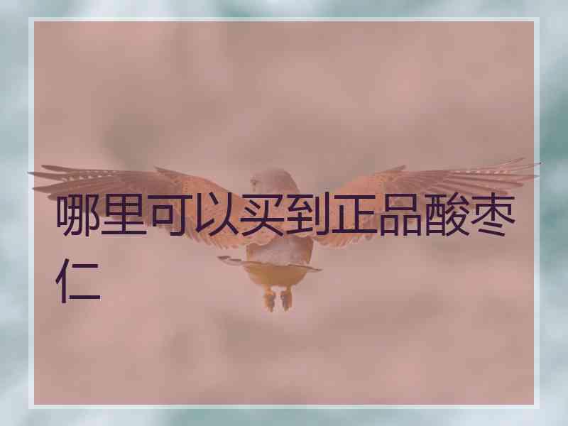哪里可以买到正品酸枣仁