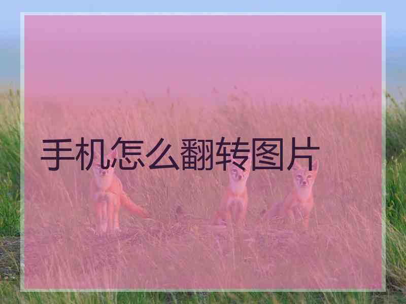 手机怎么翻转图片