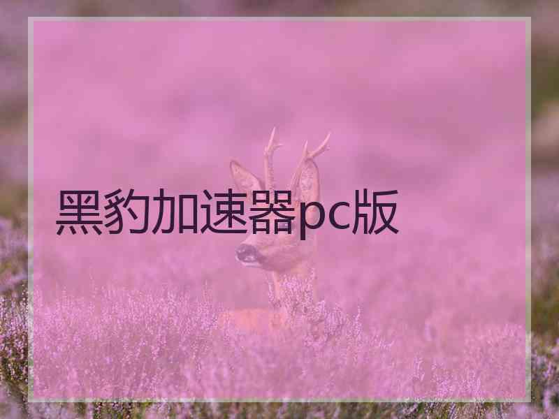 黑豹加速器pc版