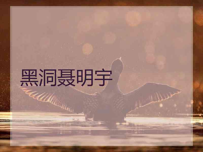 黑洞聂明宇