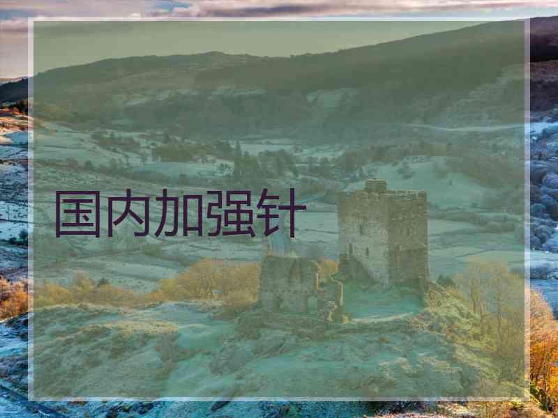 国内加强针