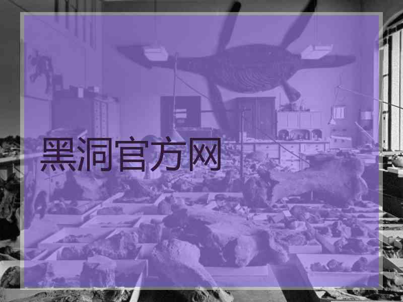 黑洞官方网