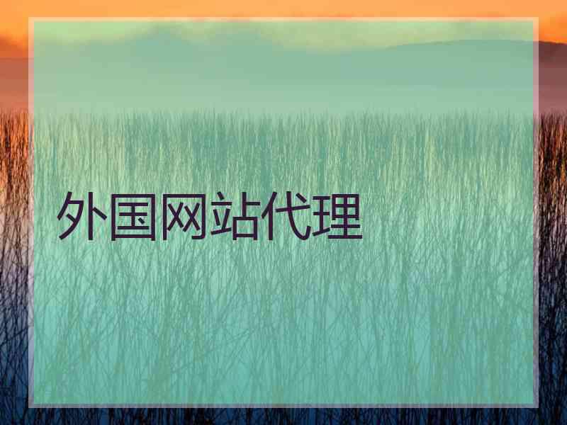 外国网站代理