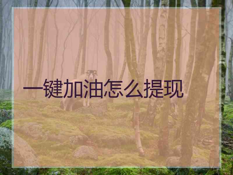 一键加油怎么提现