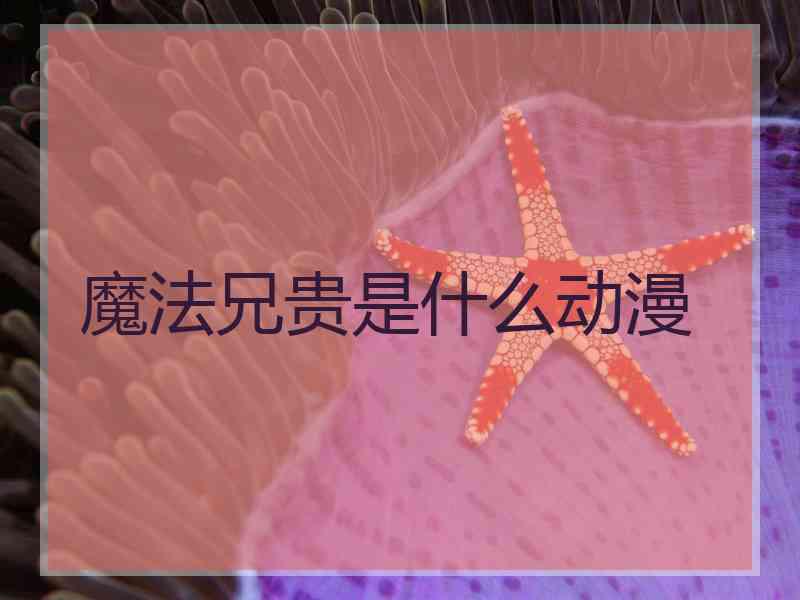 魔法兄贵是什么动漫