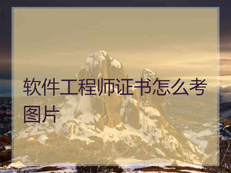 软件工程师证书怎么考图片