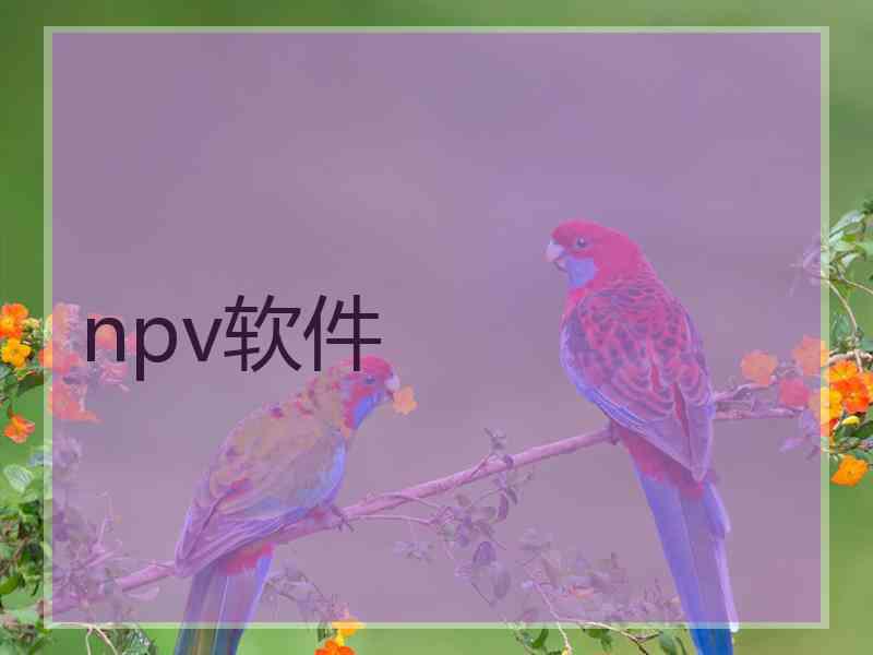 npv软件