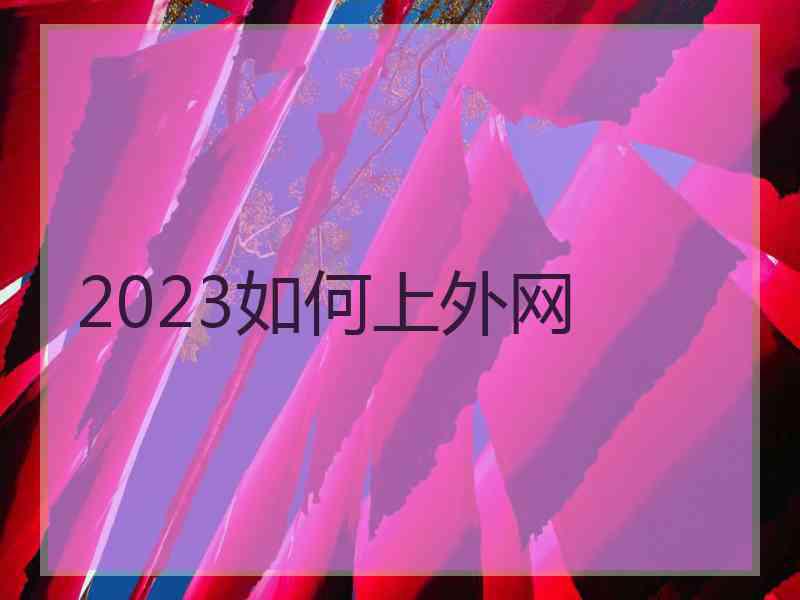 2023如何上外网