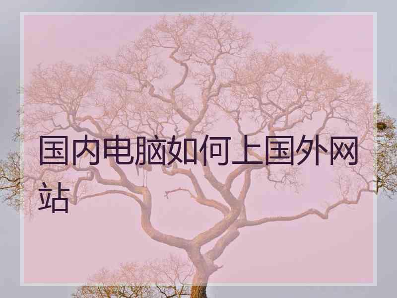 国内电脑如何上国外网站