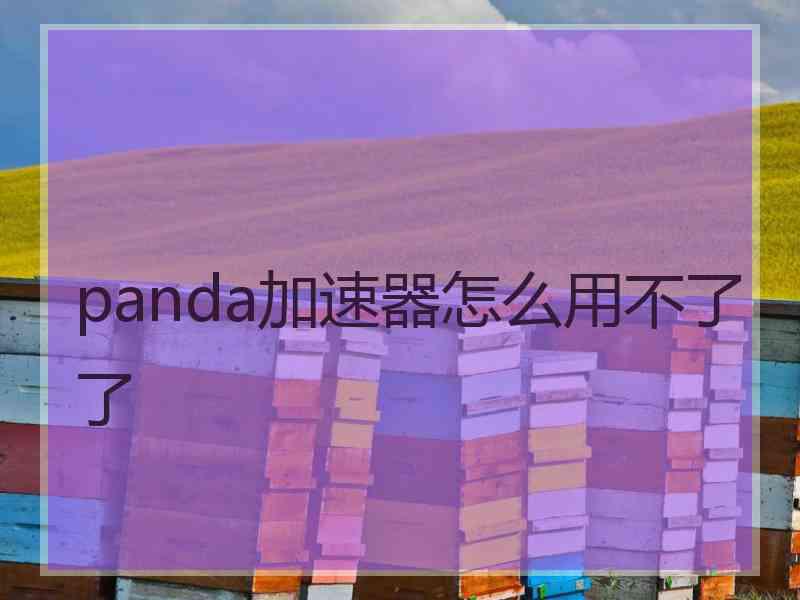 panda加速器怎么用不了了