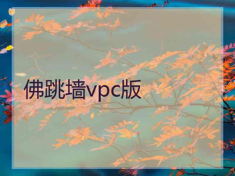 佛跳墙vpc版