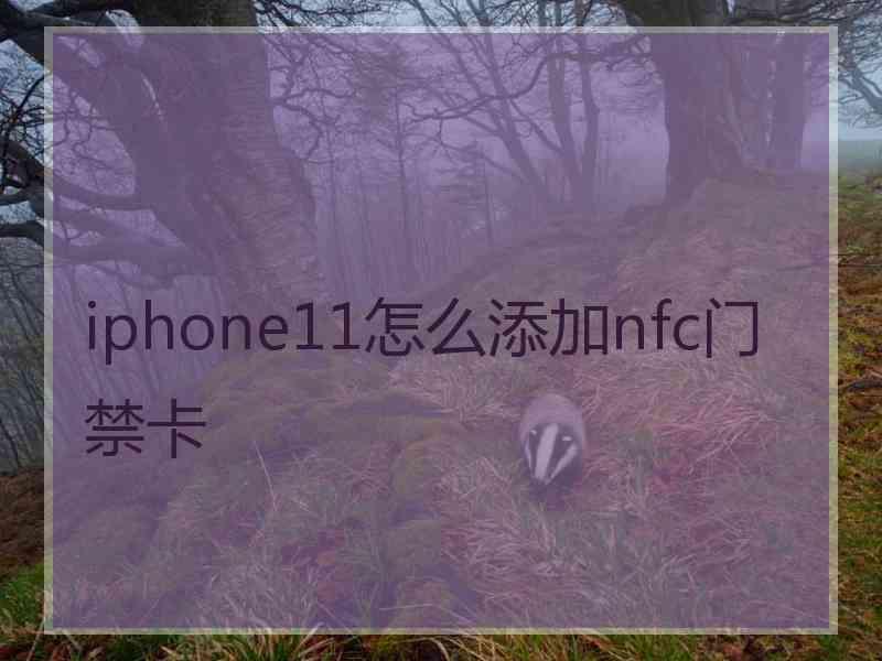 iphone11怎么添加nfc门禁卡