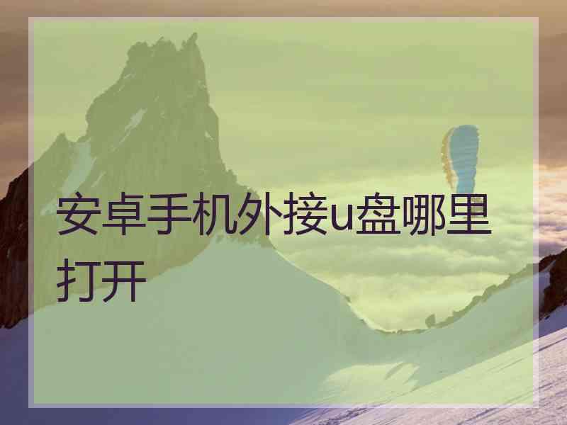 安卓手机外接u盘哪里打开