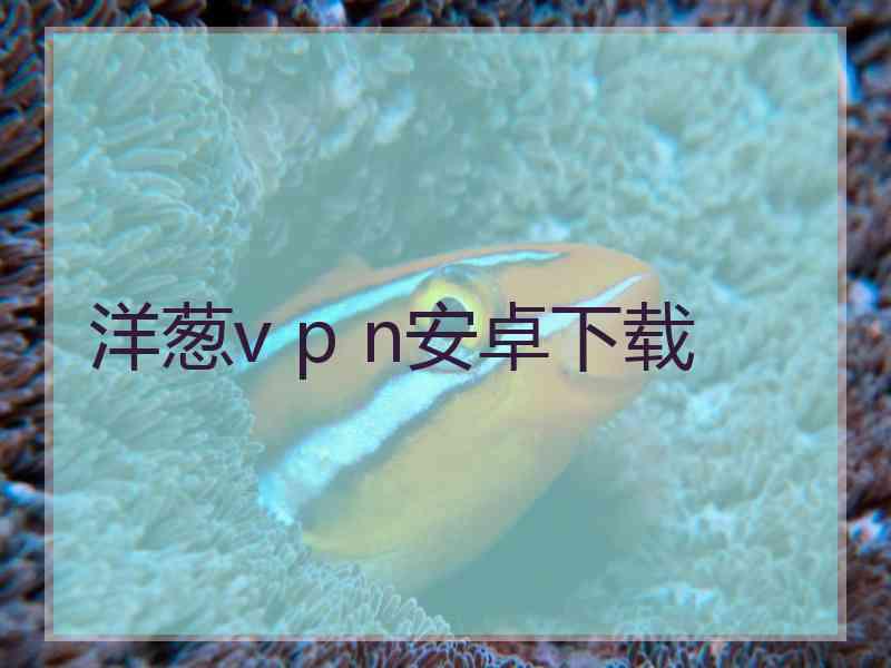 洋葱v p n安卓下载
