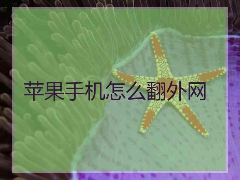 苹果手机怎么翻外网