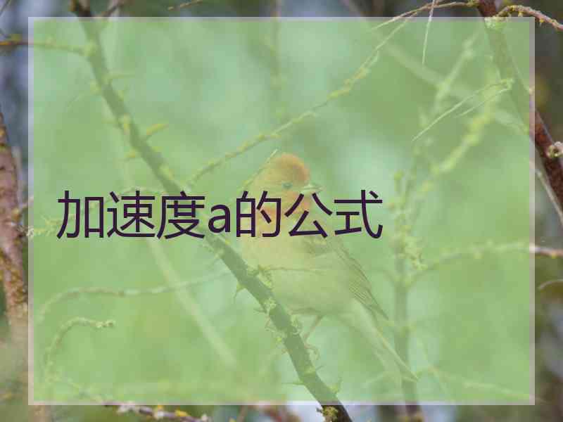 加速度a的公式