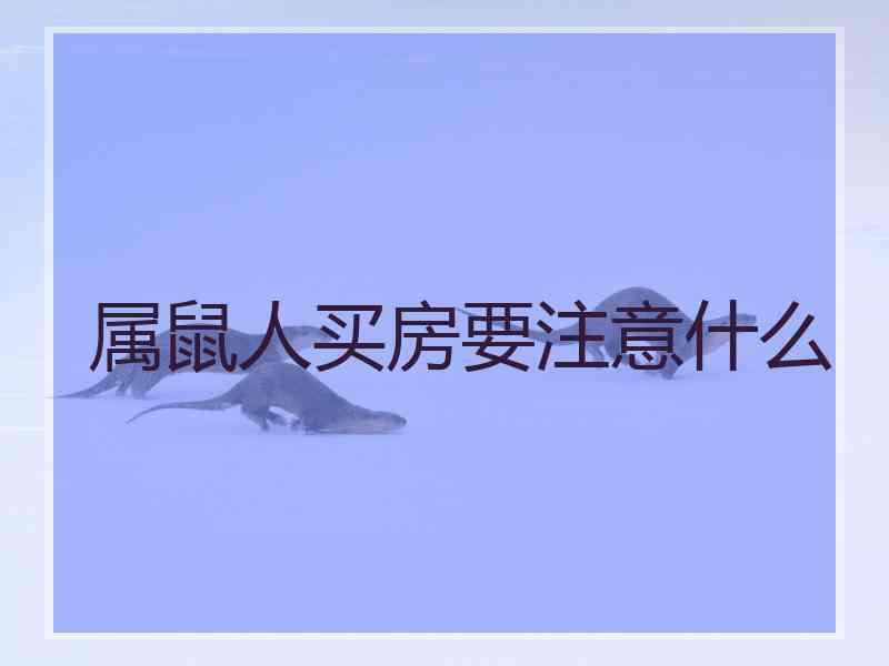 属鼠人买房要注意什么
