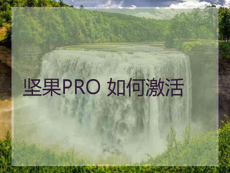坚果PRO 如何激活