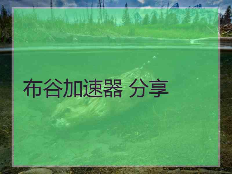 布谷加速器 分享