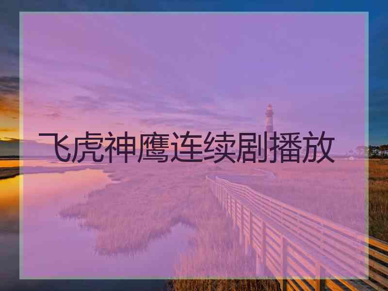 飞虎神鹰连续剧播放