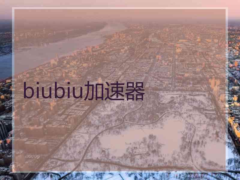 biubiu加速器