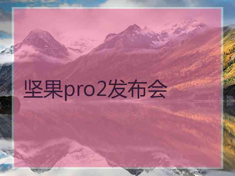 坚果pro2发布会