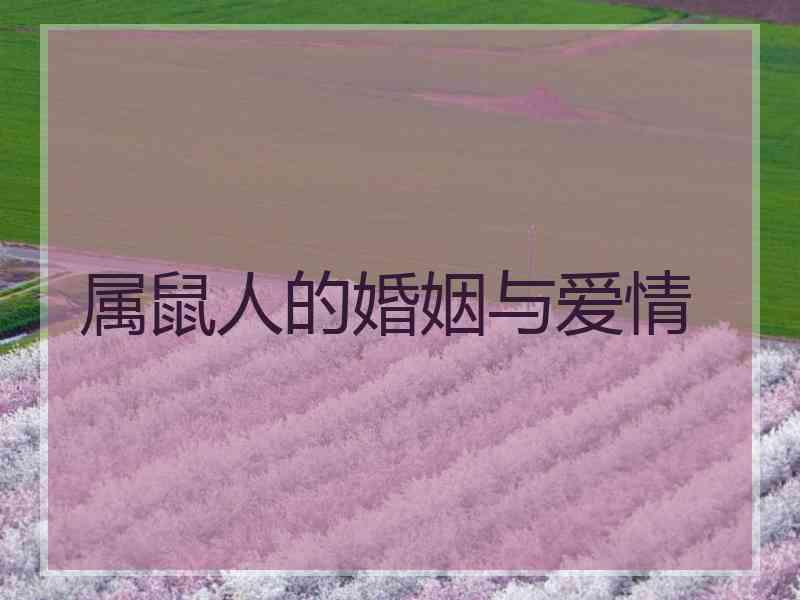属鼠人的婚姻与爱情