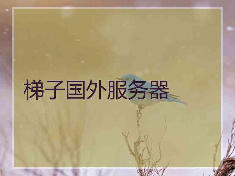 梯子国外服务器