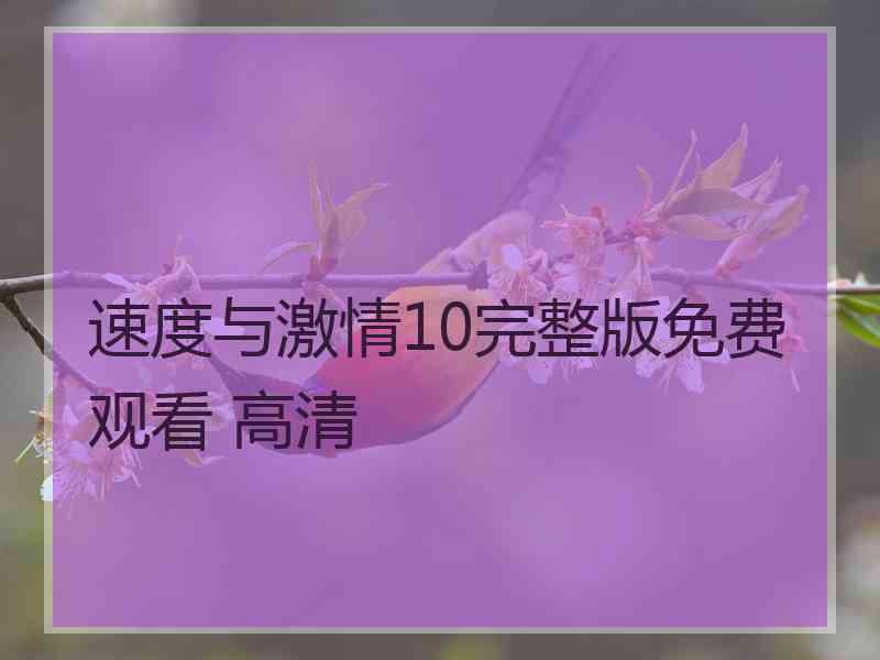 速度与激情10完整版免费观看 高清