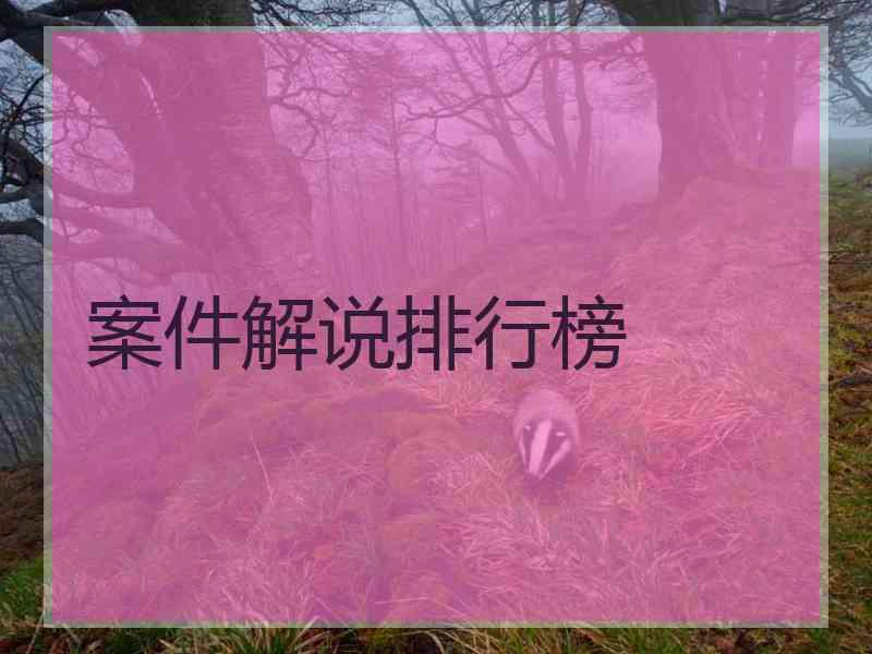 案件解说排行榜