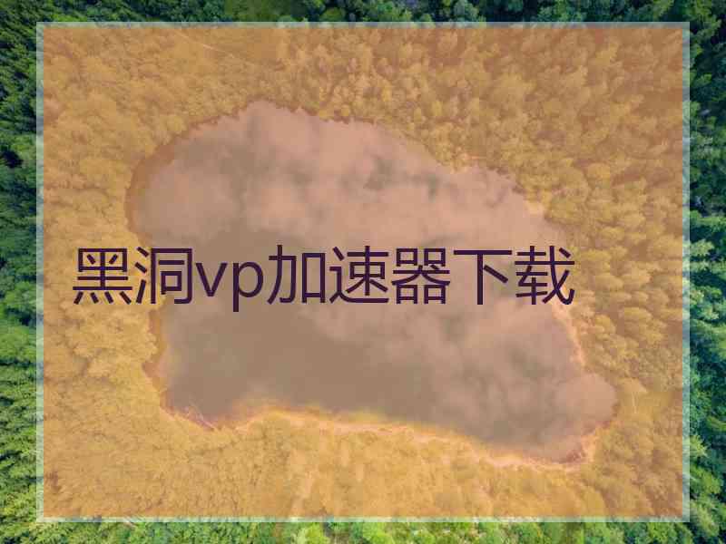 黑洞vp加速器下载