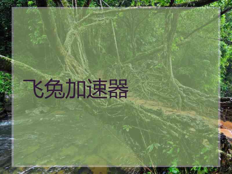 飞兔加速器
