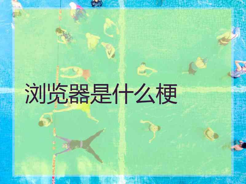 浏览器是什么梗