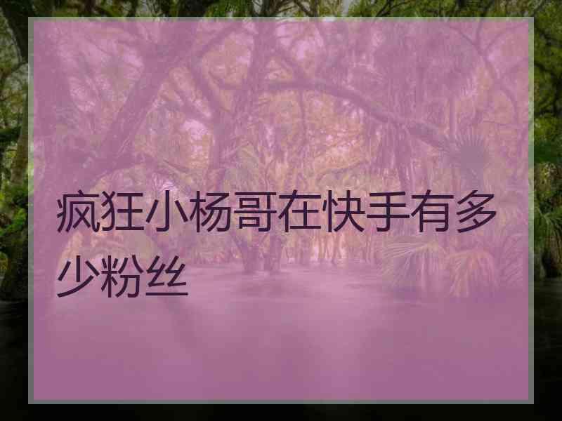 疯狂小杨哥在快手有多少粉丝