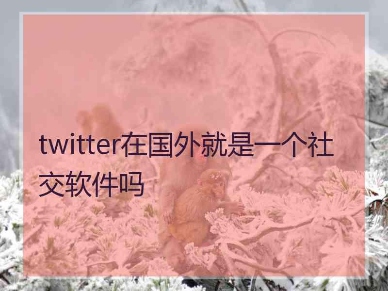 twitter在国外就是一个社交软件吗