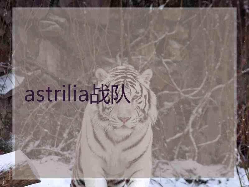 astrilia战队