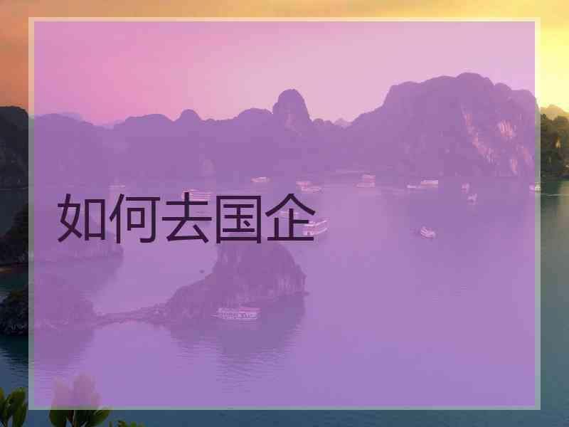 如何去国企