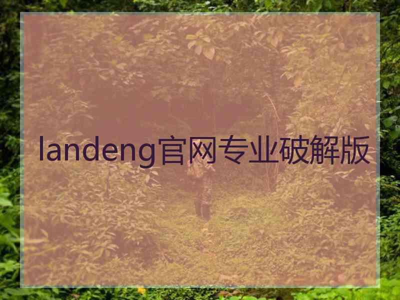 landeng官网专业破解版