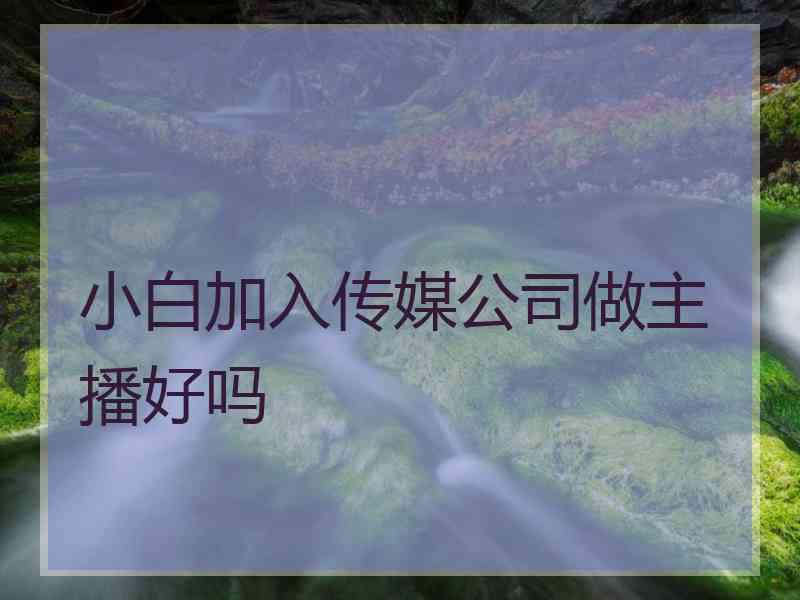 小白加入传媒公司做主播好吗