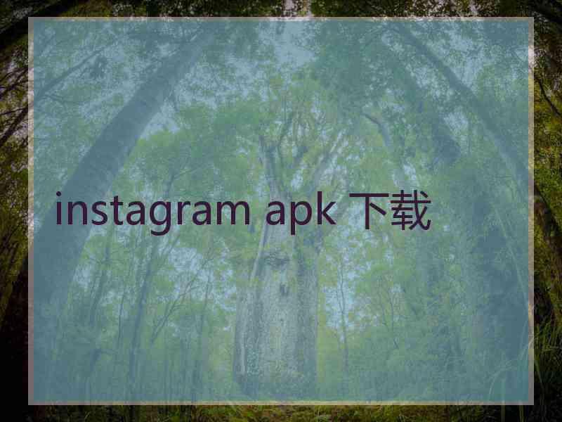 instagram apk 下载