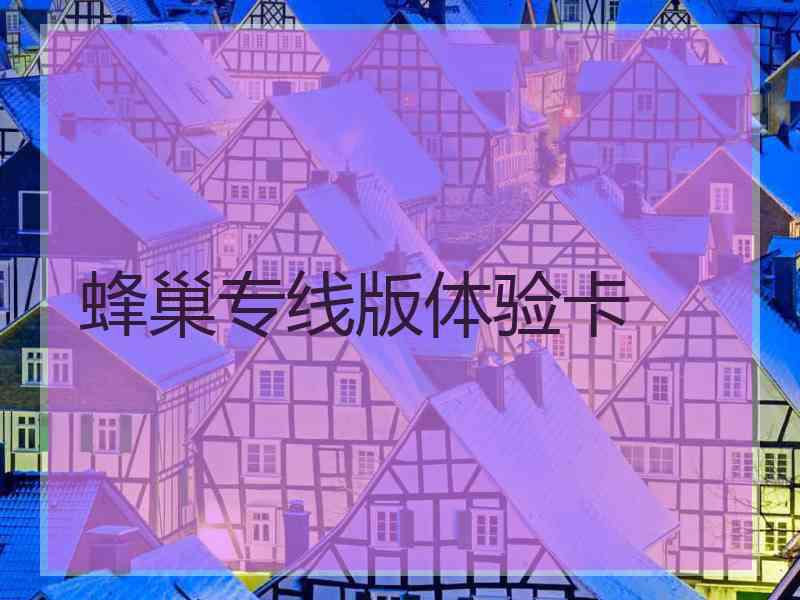 蜂巢专线版体验卡
