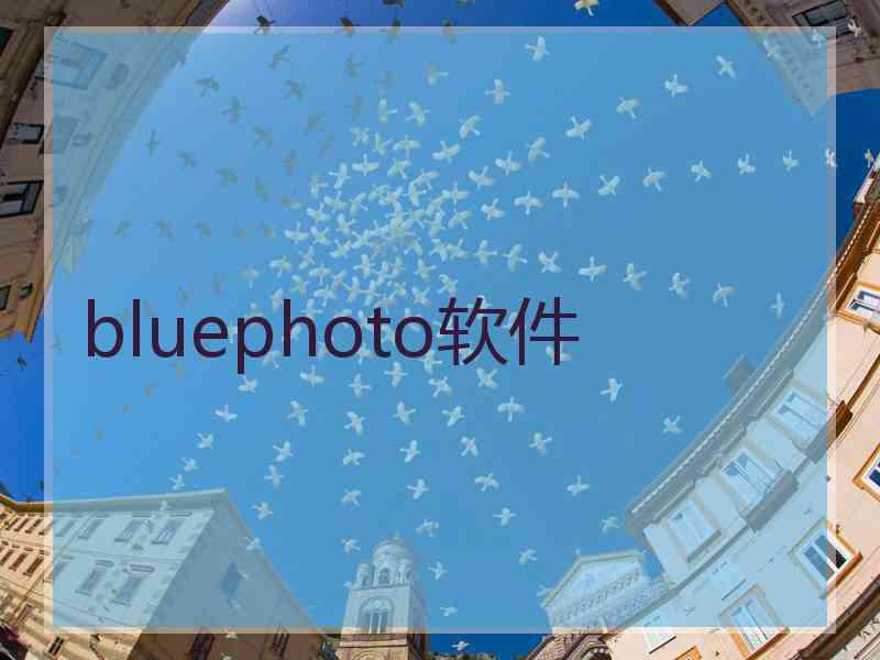 bluephoto软件