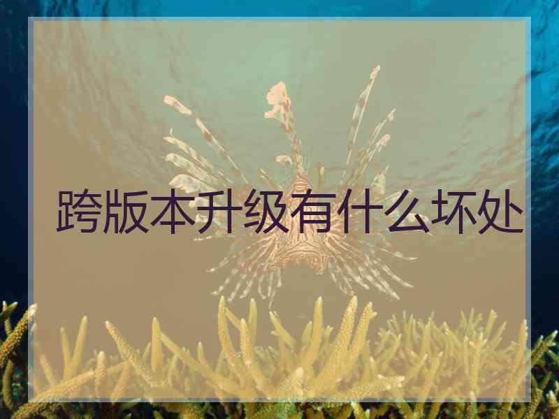 跨版本升级有什么坏处