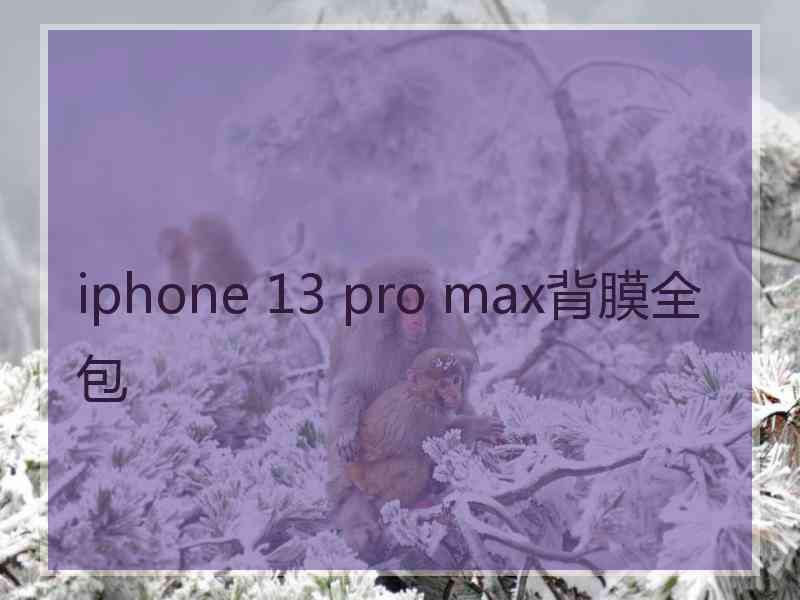 iphone 13 pro max背膜全包