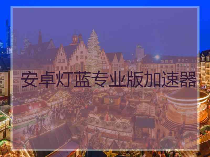 安卓灯蓝专业版加速器