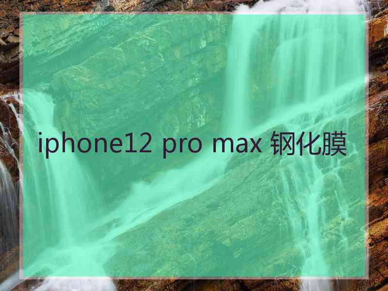 iphone12 pro max 钢化膜