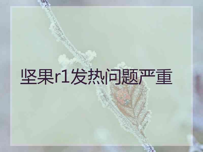 坚果r1发热问题严重
