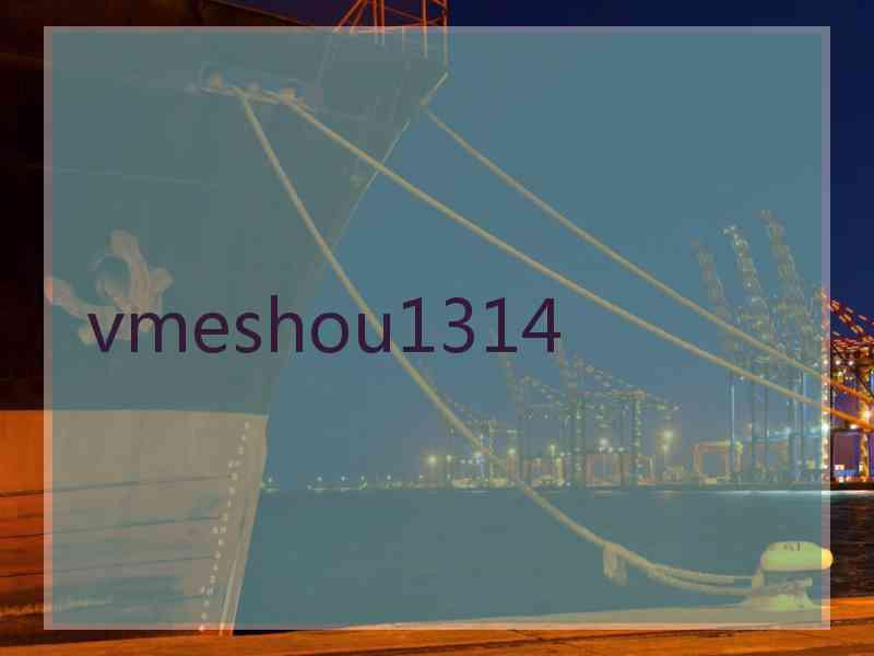 vmeshou1314