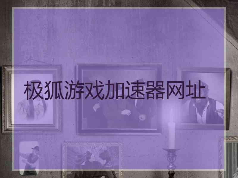 极狐游戏加速器网址