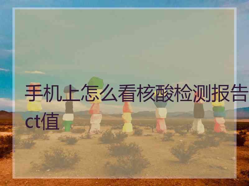手机上怎么看核酸检测报告ct值
